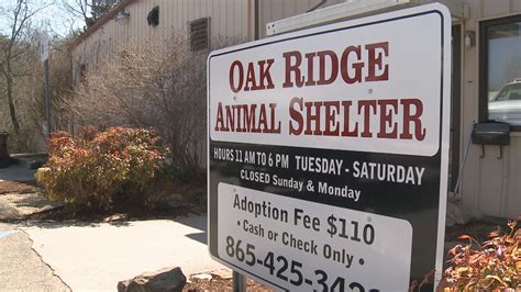 Oak ridge animal shelter - Address: 395 Belgrade Rd. Oak Ridge, TN 37830. SHELTER CONTACTS. Phone (Business hours) (865) 425-3423. Emergency (865) 425-4399. Fax (865) 425-3427.